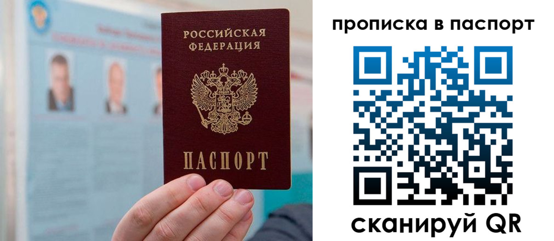 прописка гарантия в Мурманской области